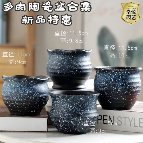 多肉老桩陶瓷花盆陶瓷