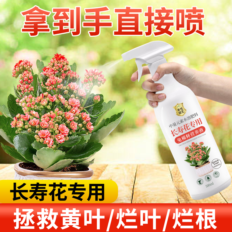 长寿花专用营养液免稀释促花肥