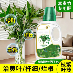 富贵竹专用营养液治叶子发黄转运竹节节高文昌竹水竹水培植物生根