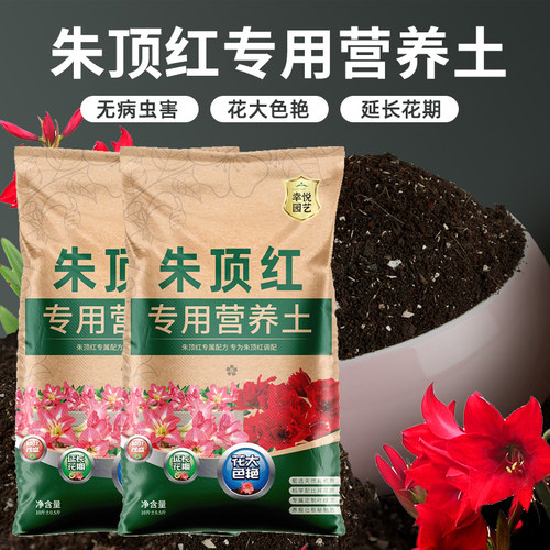朱顶红专用土壤花土营养土种球肥