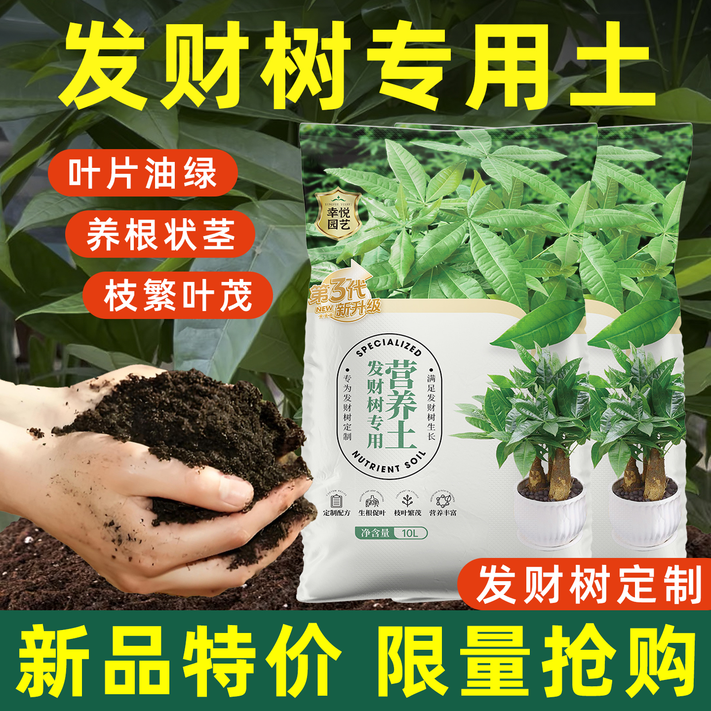种植发财树专用营养土