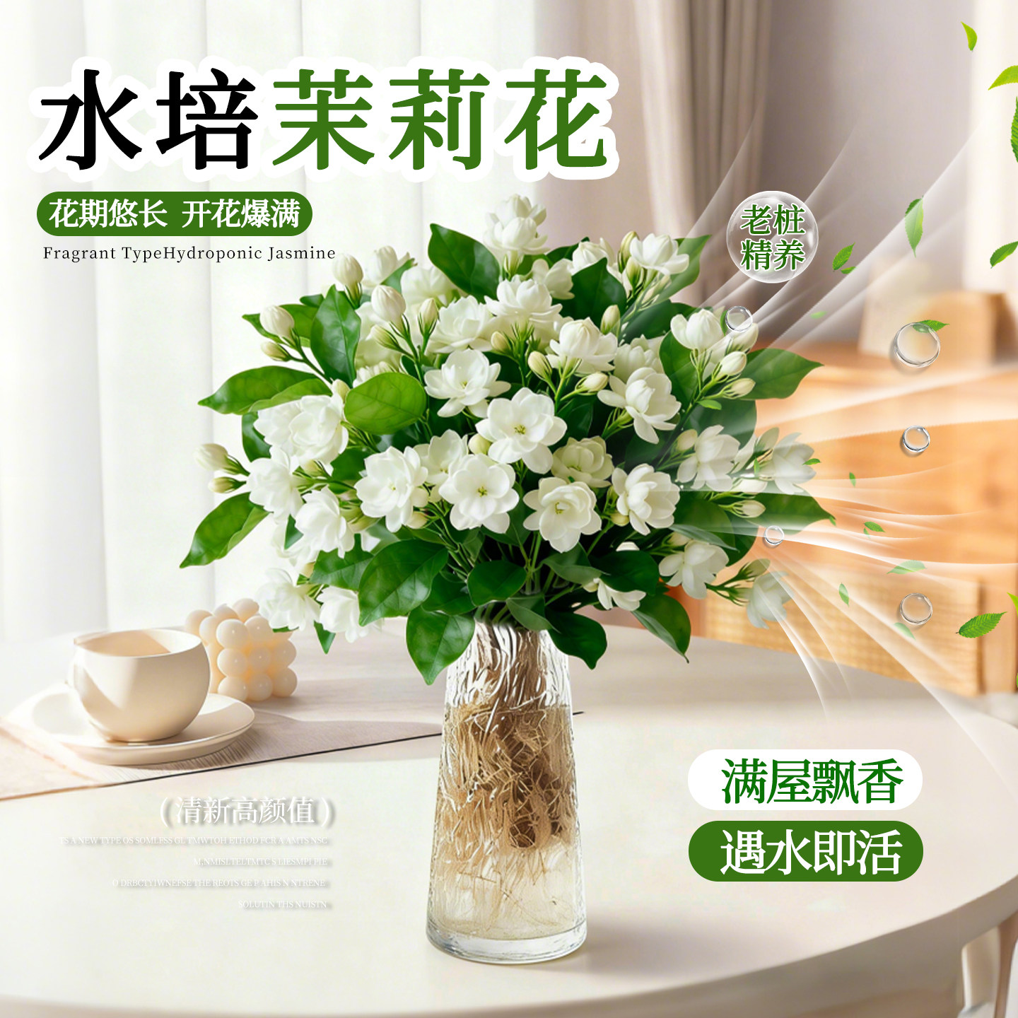 水培植物茉莉花盆栽带花苞花卉绿植办公室桌面好养懒人水养鲜花