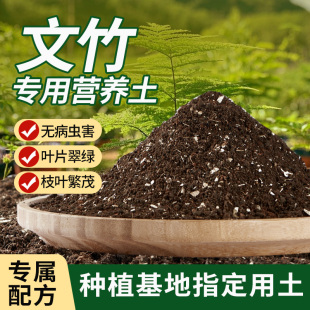 文竹专用土花土种养文竹营养土云松云竹土壤种植土泥土肥料