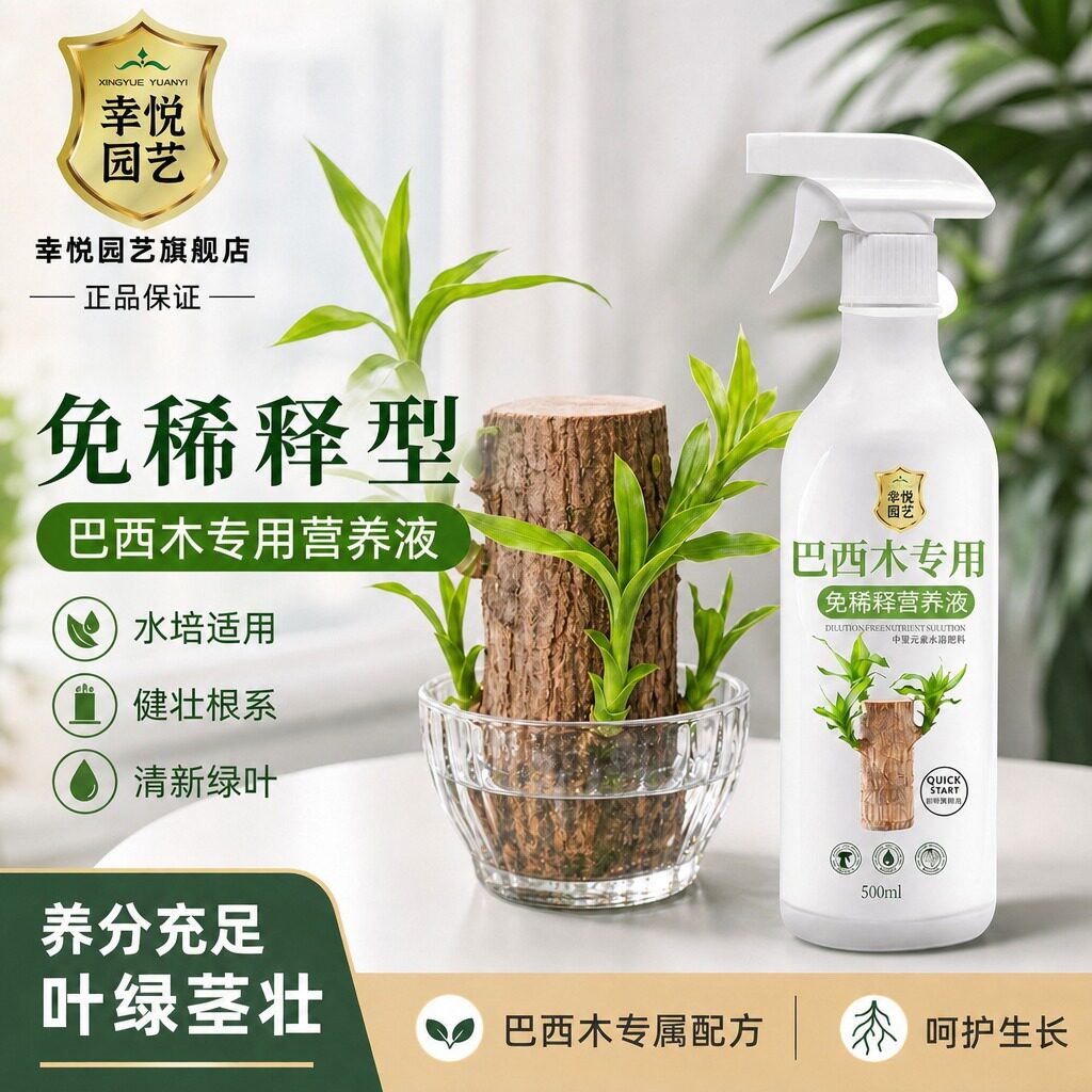 巴西木营养液幸运木开花专用水培叶子发黄免稀释巴旦木植物肥料