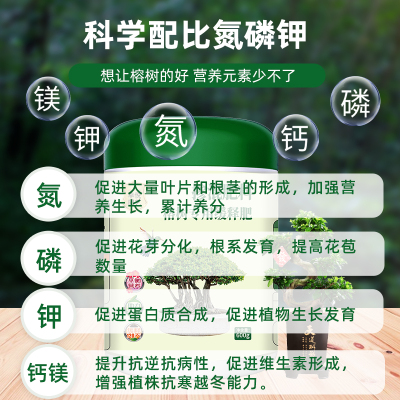 榕树肥料专用肥小叶榕肥料人参榕营养液复合肥有机颗粒缓释肥