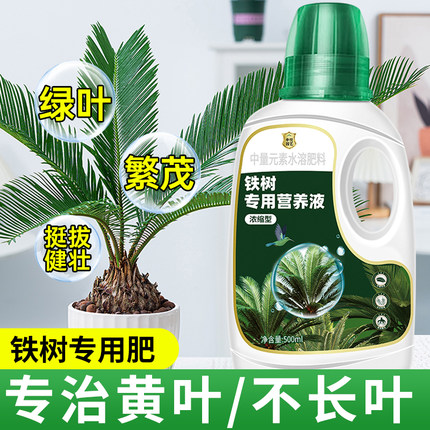 铁树专用营养液叶子发黄花肥硫酸亚铁铁树专用肥料小盆栽营养液