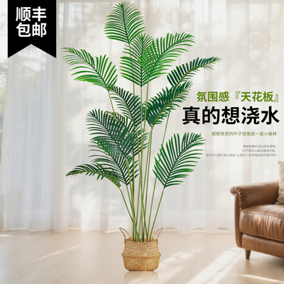 仿真绿植散尾葵客厅高端轻奢仿生花落地植物装饰摆件大型盆栽假树