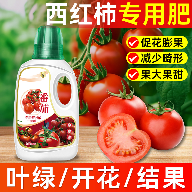 番茄专用营养液增产提质花多果大