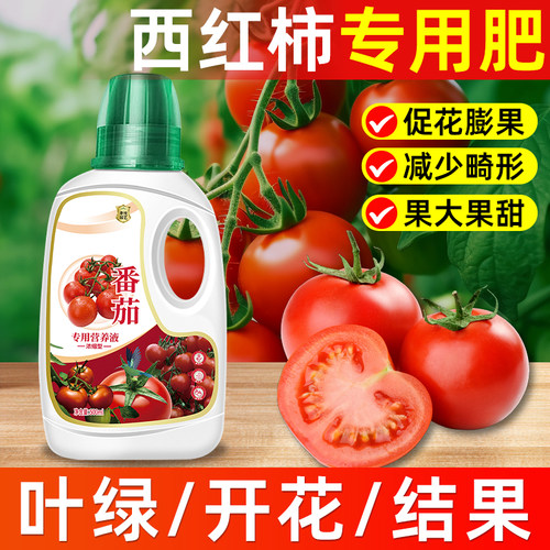 番茄专用营养液增产提质花多果大