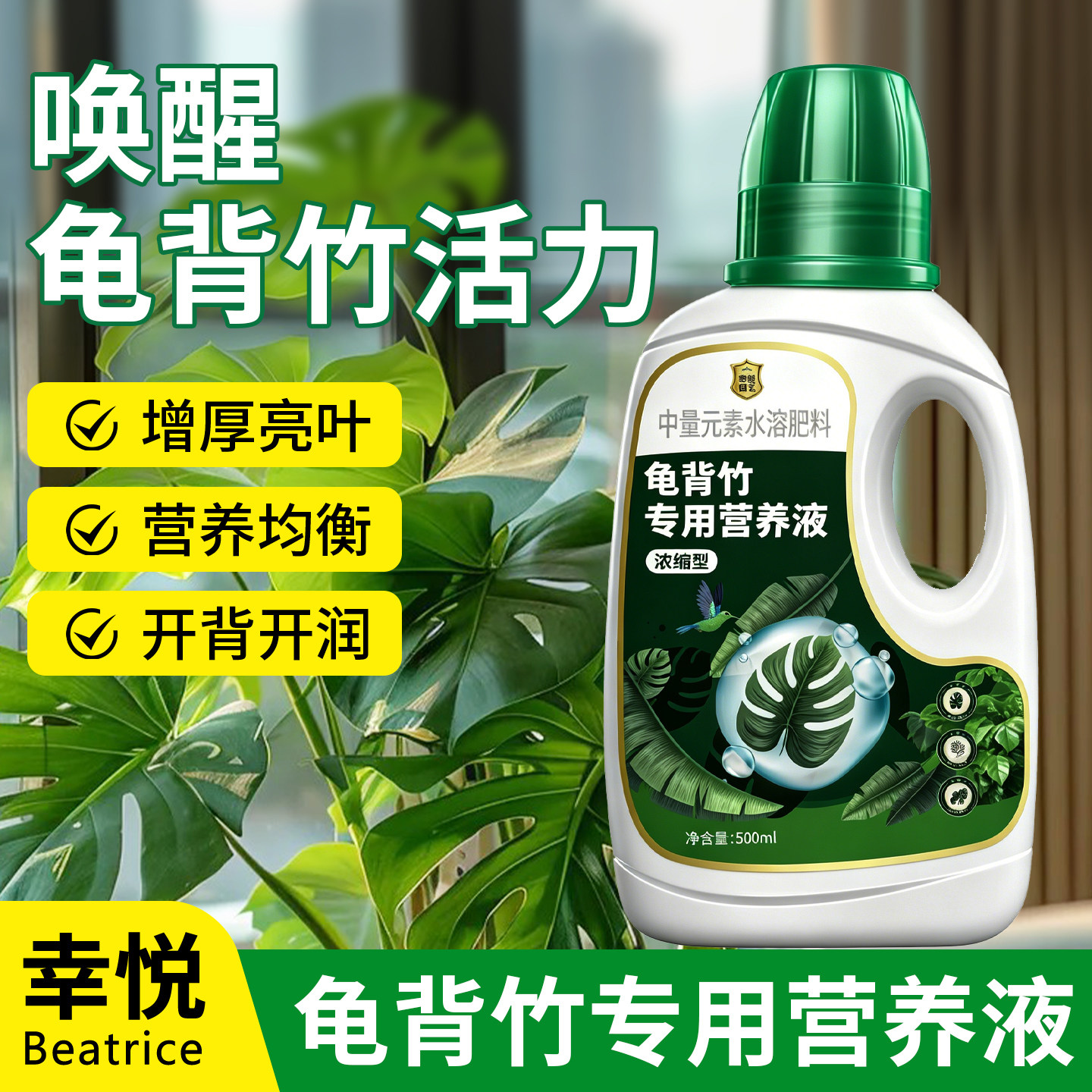 水培龟背竹营养液花肥叶面肥叶子发黄天南星科龟背竹专用肥液体肥