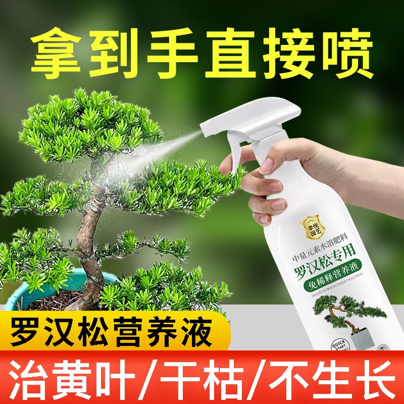 罗汉松专用营养液迎客松肥料治叶子发黄盆栽叶面肥液体肥水溶肥