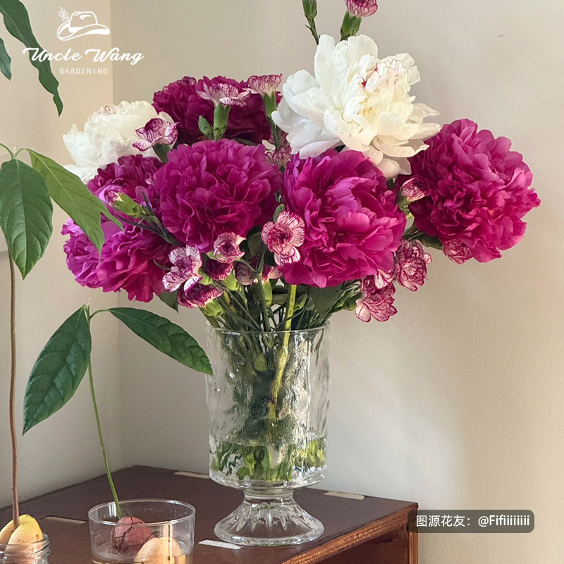 种花王大爷 芍药裸根苗盆栽地栽庭院阳台耐寒图片