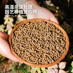 种花王大爷 豆粕有机肥家庭植物盆栽通用天然腐熟颗粒种花种菜