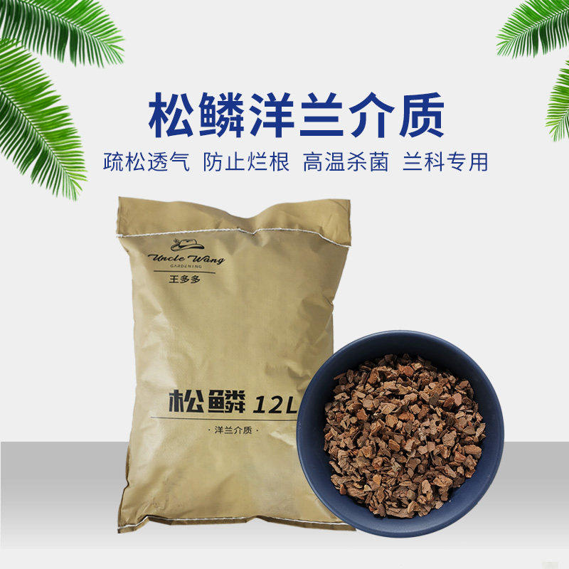 种花王大爷文心兰透气松树皮