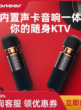 Pioneer/先锋 APS-LM11无线k歌音响麦克风一体儿童家用手持话筒