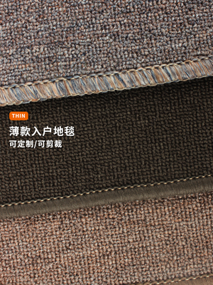 薄款入户地毯入户门垫玄关进门垫不卡门超薄脚垫可剪裁地垫防滑