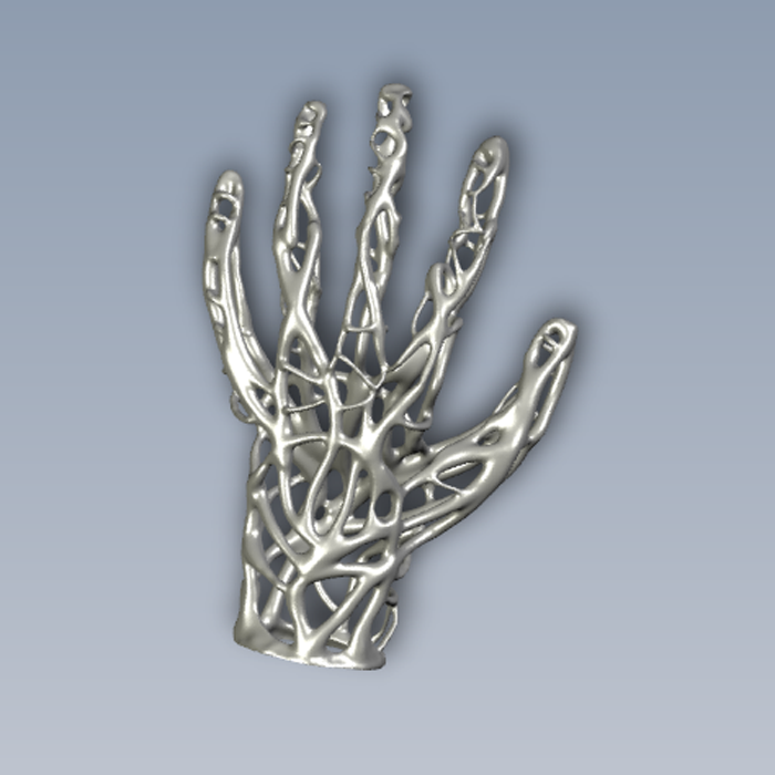骨架手模型图01200620