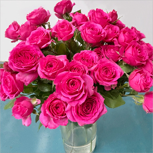 多头玫瑰花泡泡云南鲜花花束基地直发速递同城生日苏菲宝贝妇女节