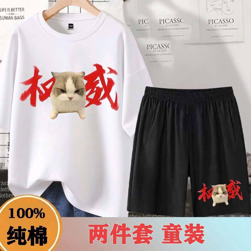 猫meme纯棉短袖t恤短裤大头猫开学季套装三角洲行动鼠鼠权威衣服