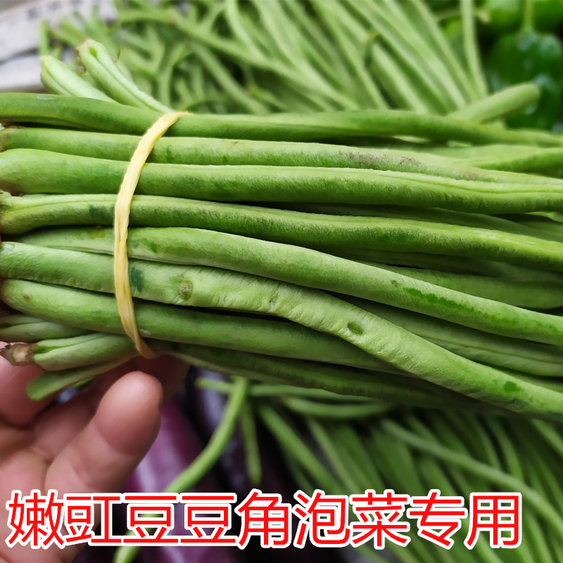 新鮮重慶農家自種豆角豇豆長豆角時令蔬菜現摘嫩豇豆整箱4斤包郵在類目 水產肉類/新鮮蔬果/熟食, 新鮮蔬菜/蔬菜製品, 新鮮蔬菜, 新鮮豆類中 - 來自Buy2taobao.com提供專業的淘寶代購服務