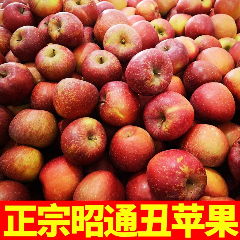 正宗云南昭通苹果新鲜水果当应季丑萍果整箱10斤包邮红富士冰糖心