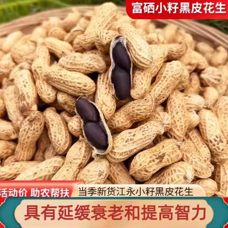 新货富硒黑花生黑皮花生红皮花生生吃带壳老品种高质量种子湖南图片