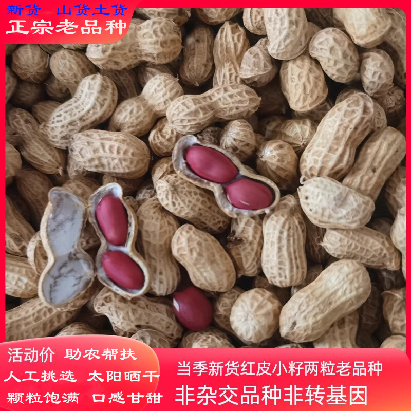 小籽红皮花生带壳生花生晒干红籽花生原味湖南松柏瑶乡自留老品种