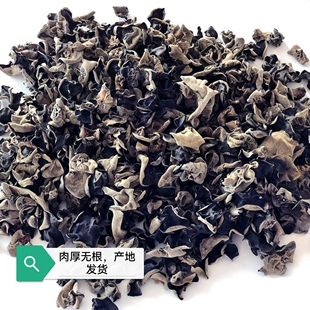 东北黑木耳黑龙江东宁秋木耳无根肉厚炒菜凉拌家用商用