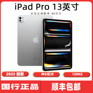英寸 iPad Pro M5芯片平板电脑 Apple 2025 苹果