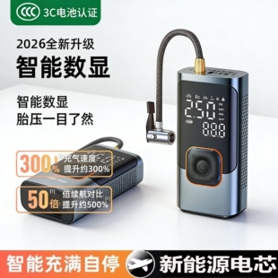 电动小轿车用轮胎打气筒冲充气 打气泵 车载无线充气泵 汽车便携式