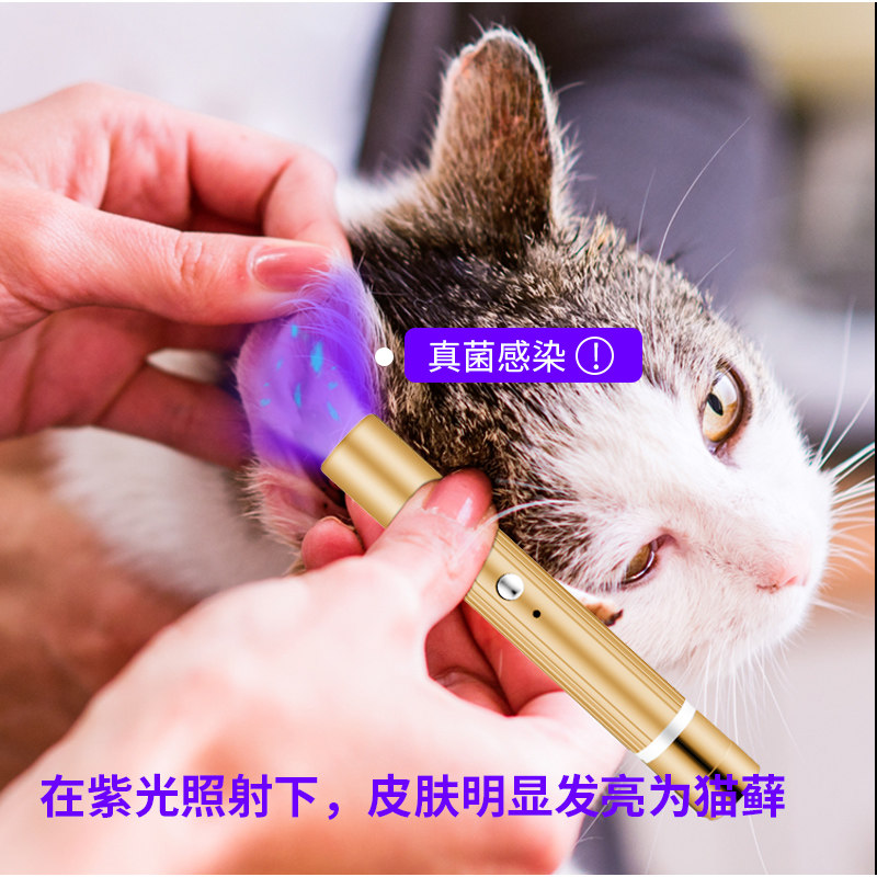猫藓黄曲霉手电筒伍德氏灯