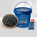 小梅 零食水果干蜜饯蓝莓果干烘焙原料办公室休闲零食果脯蜜饯
