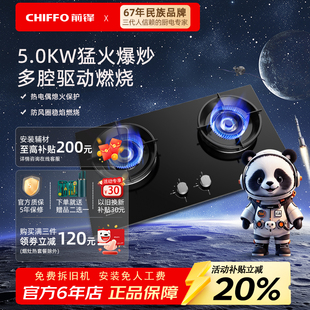 前锋家用天燃气燃气灶多腔驱动燃烧5.0kW B防风圈玻璃面板 ZD205