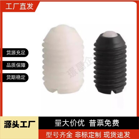 球头柱塞树脂型/BNMN6/BNMN8/BNMN10/BNZN6