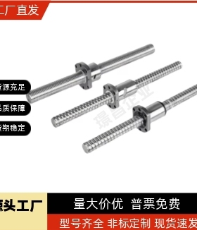 滚珠丝杠BSWE0802 BSWE1002 BTWE1204 BTWE1210 BTWE1510