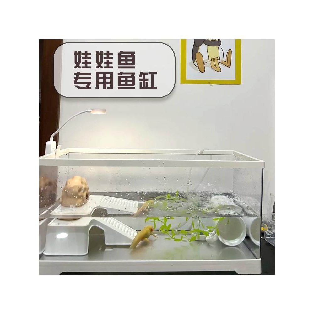 六角恐龙鱼缸龙娃娃鱼专用缸乌龟缸饲养缸带晒台过滤生态造景缸,宠物/宠物食品及用品,桌面缸,淘宝优惠券,粉丝福利购,淘宝优惠卷