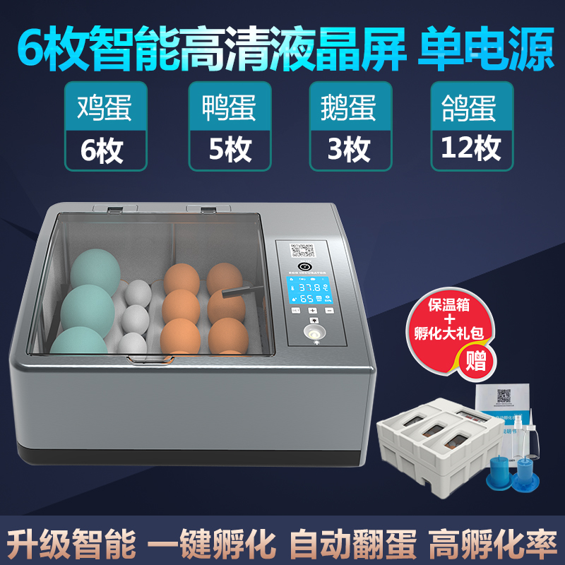 자동부화기