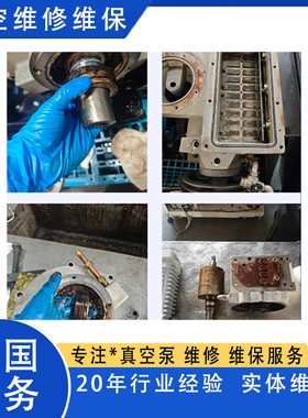 Rietschle里其乐VC100 VC202 VC303 VC150真空泵检修维修保养