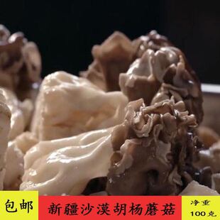 巴楚菇新鲜新疆巴楚野生蘑菇干食用菌香菇胡杨林100g