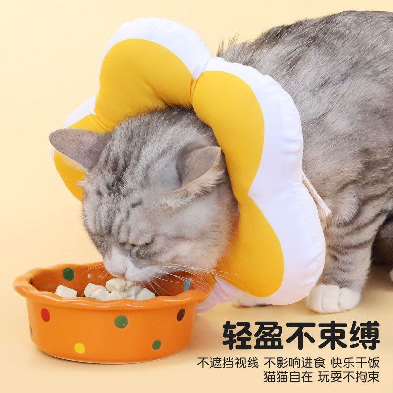 花朵伊丽莎白圈猫咪项圈