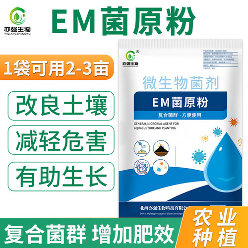 种植em原粉改良土壤生根壮苗