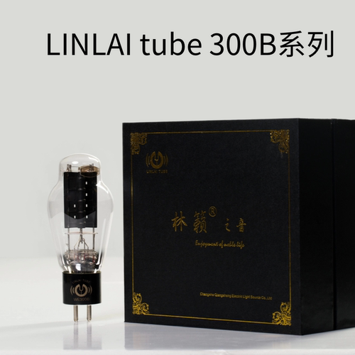 WE-E-300B-N-Z-L-T金丝胆管音靓