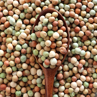 5斤混合豌豆鸽粮青豌豆白豌豆红豌豆高蛋白鸽子料杂豆料喂鸽子