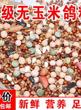 鸽粮鸽子食鸽料无玉米幼鸽观赏鸽