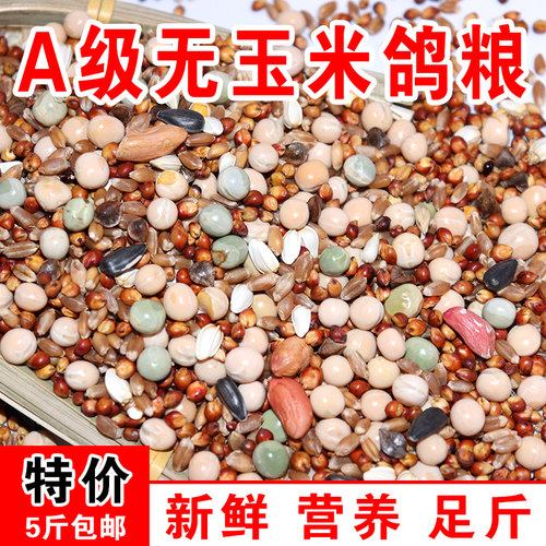 鸽粮鸽子食鸽料无玉米幼鸽观赏鸽