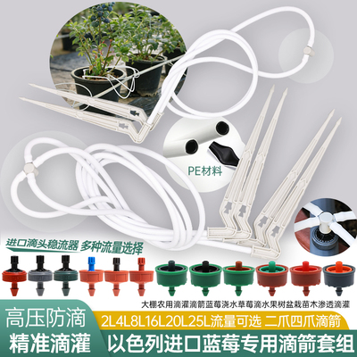 以色列耐特菲姆蓝莓滴灌套组