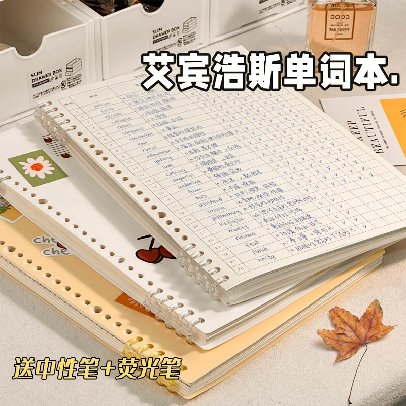 B5单词本记忆艾宾浩斯记忆曲线大学生考研英语默写记背单词神器笔记