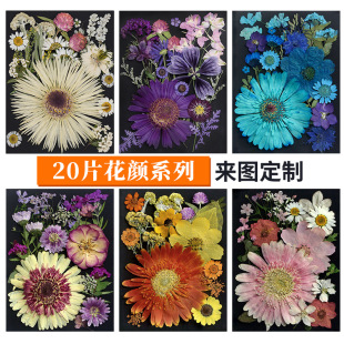 干花压花花瓣手工diy相框滴胶押花台灯花材植物标本装饰画材料包