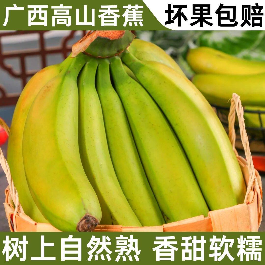 广西高山香蕉5/9斤新鲜水果好吃