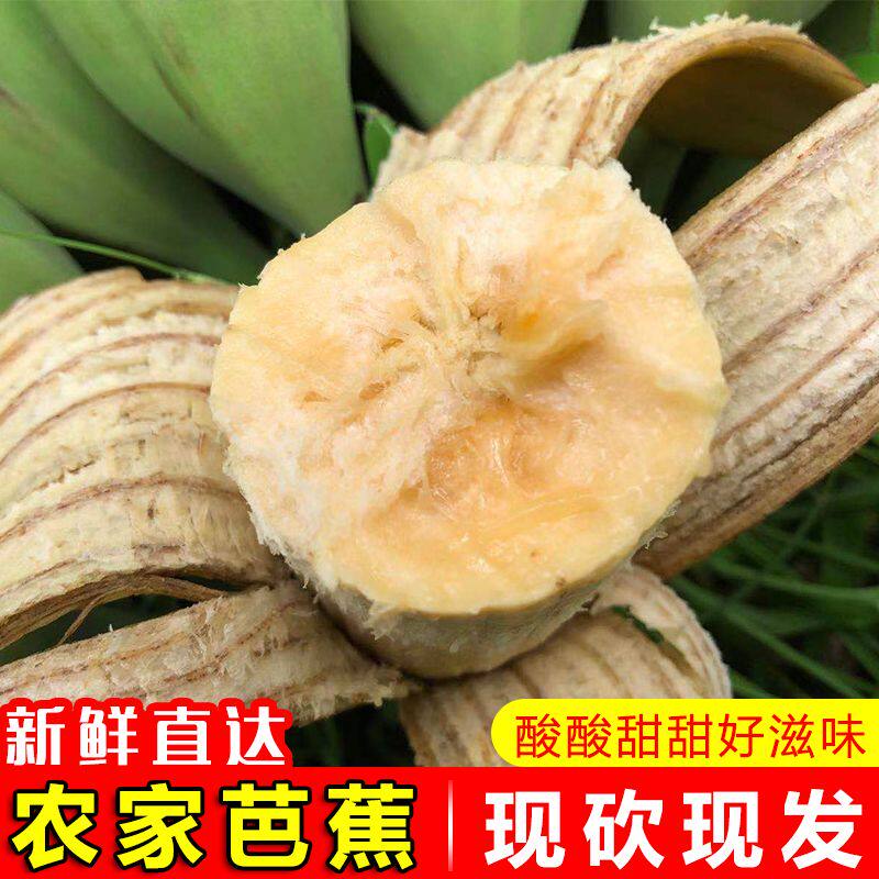正宗广西大芭蕉牛蕉新鲜水果